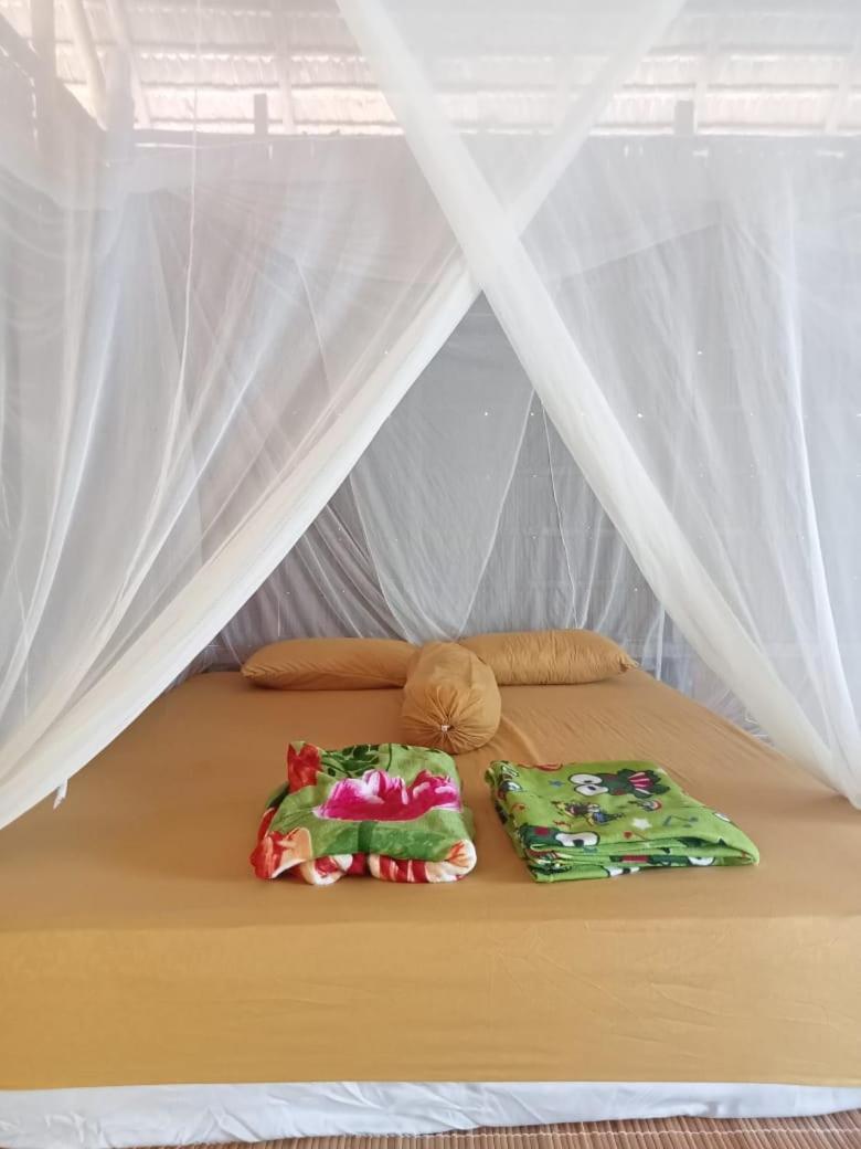 Homestay Avinsea